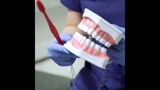 How To Brush Your Tooth Properly dentist dental allbritedentistry dentalclinic howtobrush [upl. by Kooima38]