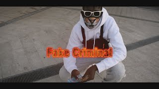 TyG3r™  Fake Criminal Official Video [upl. by Richelle]