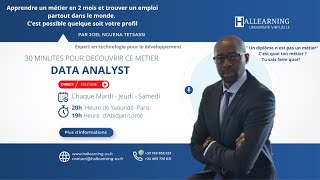 30 MINUTES POUR DECOUVRIR CE METIER  DATA ANALYST [upl. by Jacobina307]