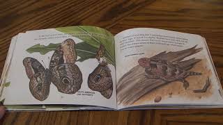 Creepy Crawly Creatures By CJ Naden Read Aloud For Kids [upl. by Nolahp]