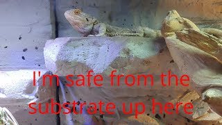 Why Loose Substrate Does Not Cause Impaction [upl. by Clere]