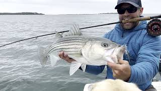 FISH Northeast  The Rigging Bench  Episode 49 Spring Striper Fishing with Greg Cordeiro [upl. by Asenav]