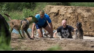 Ez a Hard Dog Race  official HDR video [upl. by Sosna99]