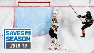 Best Saves of the 201819 NHL Season [upl. by Nosliw212]