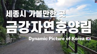 DynapicKorea 🇰🇷 세종시 금강자연휴양림 Geumgang Natural Recreation Forest in Sejong City KOREA [upl. by Ayit]