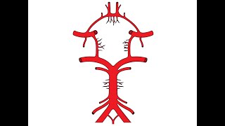 USMLE Step 2 CK Plus  Chapter 2 Neurology  Lacunar Stroke Syndromes [upl. by Ayhtnic]