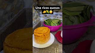 🌽🧀🌽🧀🌽unos ricos quesos de MiChoacan cake [upl. by Leumek561]