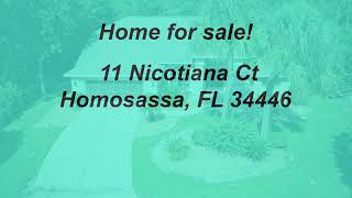 11 Nicotiana Ct Homosassa FL 34446 branded [upl. by Sura]