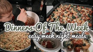 What’s For Dinner  Dinners of the Week  EASY Week Night Dinners  February 2023 [upl. by Atnoek]