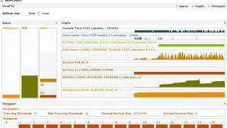 VisualGC  xms1G xmx1G 설정 후 부하 발생 시 [upl. by Reel]