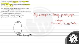 Assertion In female gametophyte large central cell hastwo polar nucleiReason Polar nuclei ar [upl. by Coral104]