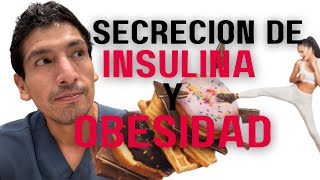 SECRECIÓN DE INSULINA CONTINUA Y OBESIDAD  ADICCION A LA COMIDA [upl. by Yllatan]