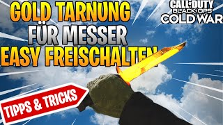 COLD WAR GOLD TARNUNG FÜR MESSER EINFACH FREISCHALTEN Tipps und TricksRoad to Dark Matter EZ Guide [upl. by Lyris811]