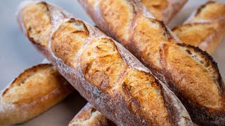 How Baguettes are Made Using the Poolish Method to Produce Incredible Texture and Structure [upl. by Salokkin]