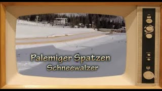 Palemiger Spatzen Schneewalzer [upl. by Wiltsey739]