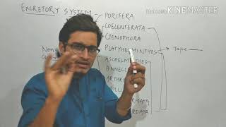 Excretory system overview in Non chordates Most important video [upl. by Melleta]