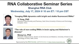 RNA Collaborative – Shanghai RNA Club July 17 2024 [upl. by Dennard]