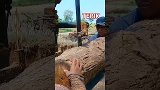 Kayu jati kering‼️di Rajang Gergaji Bandsaw Rakitan [upl. by Nairam]