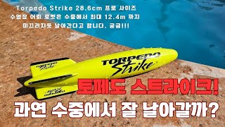 수영장 최강 토이 토페도 스트라이크torpedo strike 정말 어뢰처럼 잘 날아갈까 [upl. by Eceinaj668]