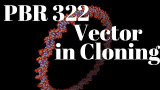 PBR322 plasmid vector  Cloning vector [upl. by Cox725]