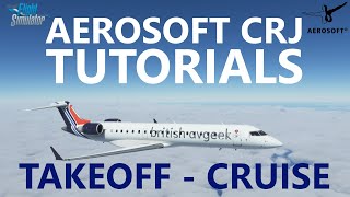 MSFS  Aerosoft CRJ Full Flight Tutorials  Episode 2 Taxi Takeoff to Cruise CRJ700 [upl. by Cyn377]