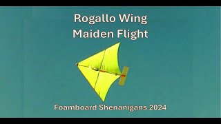 Rogallo Wing Maiden Flight [upl. by Laurella]