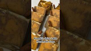 Let’s make soap with real pumpkin puree soapmaking pumpkinspiceseason [upl. by Hawley]