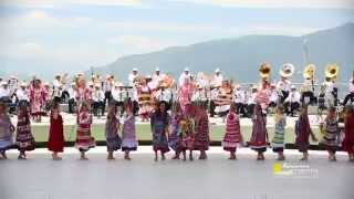 Bailable Flor de Piña Guelaguetza 2014 [upl. by Grote857]