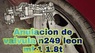 como anule la valvula n249 bypass de mi Leon mk1 18t jetta 18t audi 18t [upl. by Aderb]