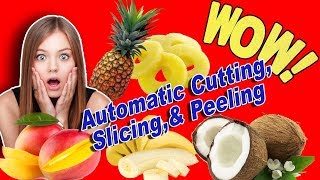 Peeling and Slicing Machines Pineapple Mango Banana Coconut amp More [upl. by Airtemak683]