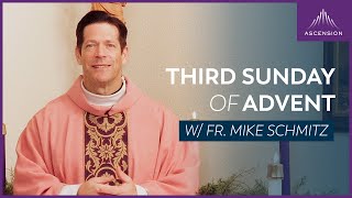 Third Sunday of Advent  Mass with Fr Mike Schmitz [upl. by Paulette]