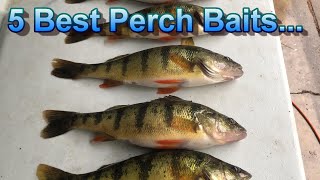 Perch Fishing Tips  The Only 5 Perch Baits That Matter [upl. by Fawna]