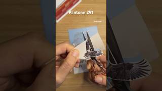 Pantone 291 pantonechallenge music song journaling scrapbook paperasmr collage 1분다꾸 sticker [upl. by Ayekel]