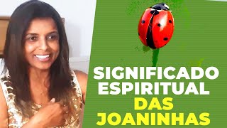 O significado espiritual das joaninhas com a vidente Vandinha Lopes [upl. by Narine950]