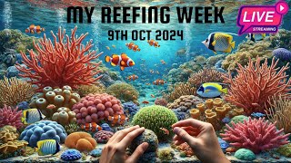 My Reefing Week Live [upl. by Woolson802]