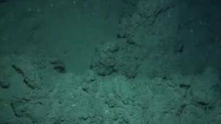 Life around deep sea methane seeps 2 [upl. by Katzman]