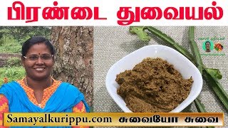 Pirandai Thuvaiyal Recipe in Tamil  பிரண்டைத் துவையல்  Adament Creeper Chutney  Samayal in Tamil [upl. by Lilhak]