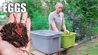 How to Make a Worm Composting Bin Quick Simple and Inexpensive Gardening [upl. by Farny54]