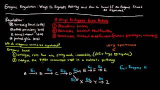 Enzyme Regulation Part 1 of 5  How and which Enzymes are Regulated [upl. by Fleisig]