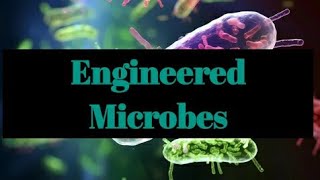 Genetically Engineered Microbes Engineering Microbes for Innovation Microimmuno Insights [upl. by Etteluap]