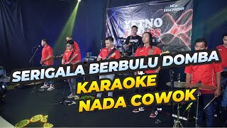 SRIGALA BERBULU DOMBA KARAOKE NADA COWOK PRIA [upl. by Oliric]