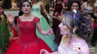 Saman amp Shavin  Hochzeit  Part 5  Achern  Hozan JenediAdnan Bozani  Shamsani Pro®2016 [upl. by Grantland74]