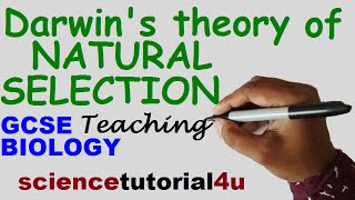 Natural Selection Darwins theory vs Lamarcks theory [upl. by Arikahc]