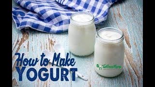 Chef Nak Lifestyles  វិធីធ្វើទឹកដោះគោជូរ  How to make Yogurt [upl. by Oiratno]