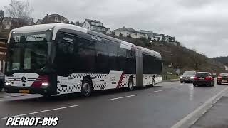 Luxembourg  Mercedes Citaro G2 18 Diesel Hybride Multiplicity amp eCitaro 18 RGTR [upl. by Atem568]