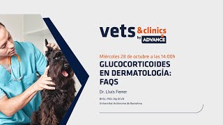 29ES quotGlucocorticoides en dermatología FAQs” Dr Lluís Ferrer [upl. by Adriena]