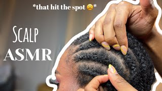 ASMR  real person scalp  dandruff scratching and oil massage on braids [upl. by Bremser]