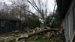 Hoveniersbedrijf Harry de Winkel uit Apeldoorn herfst  winter werk snoeien zagen tuinonderhoud [upl. by Keemahs]