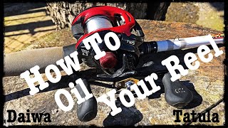 How To Oil A Daiwa Tatula Reel  Reel Oiling [upl. by Drahser]