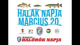 VIII Halak Napja és III Halőrök Napja – Magyar Országos Horgász Szövetség élő közvetítése [upl. by Alled]